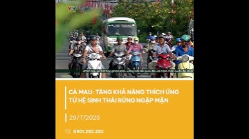 Giá trị sinh thái cao từ rừng ngập mặn Cà Mau | VTV CẦN THƠ