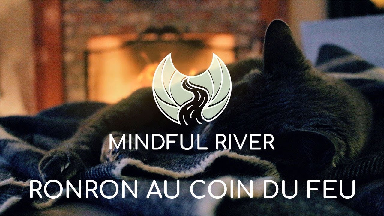 Ambiance De Relaxation Cheminee Chat Qui Ronronne Youtube