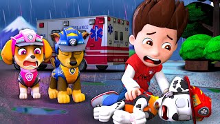 Download Lagu Adiós MARSHALL!! - La Triste Historia de Ryder!| PAW Patrol en Español | Rainbow 3 MP3 Download Lagu Adiós MARSHALL!! - La Triste Historia de Ryder!| PAW Patrol en Español | Rainbow 3 MP3