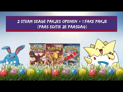 Pokemon Kaarten ||