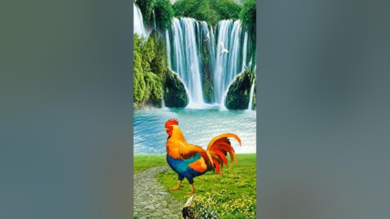chicken #short #shortvideo #song #shortsviral