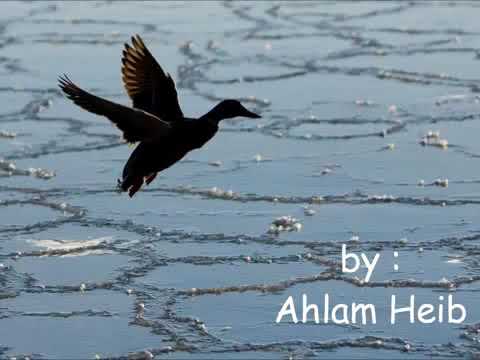 حسام الرسام تايبين 2001 جلسات تراثيات