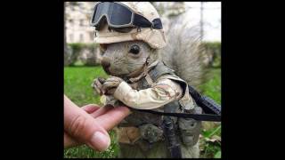 "Everyday Heroes" (911 song) by Dave Carroll chipmunk'd