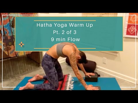 Hatha Yoga Warm Up Pt. 2 of 3- 9 min Flow