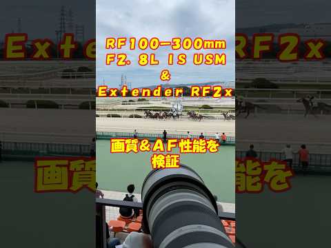 RF100-300mm F2.8L→ 200-600mm F5.6(EXTENDER 2x) 画質&AF性能をプロカメラマンが検証 canon キヤノン ２倍テレコン