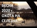 ОТКРЫТИЕ ВЕСЕННЕЙ ОХОТЫ 2020 г. ОХОТА НА СЕЛЕЗНЯ.