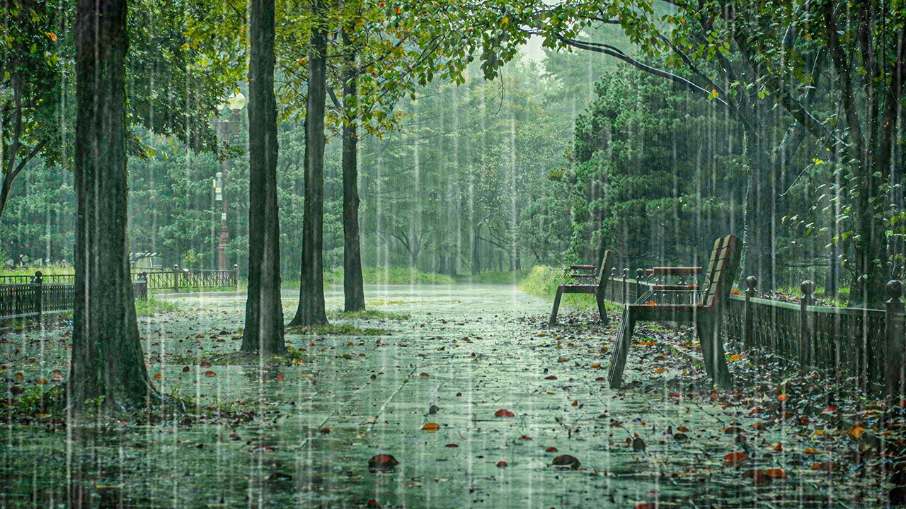 틀어두기만 하세요. 드디어 잠에 듭니다 | 빗소리 ASMR, 불면증 & 이명 완화, 백색소음