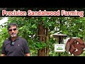 Precision agriculture helps in yielding Red Sandalwood trees | Grotron | Farmagain | Benjamin Raja