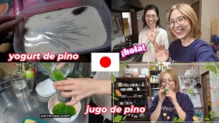 mi amiga Japonesa me enseña hacer jugo de pino y yogurt