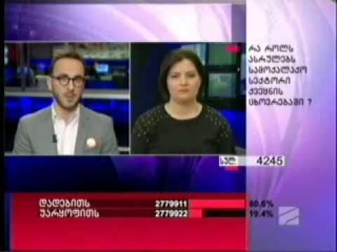 საიას თავმჯდომარე, ანა ნაცვლიშვილი სამოქალაქო სექტორის როლზე საუბრობს