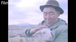 Овцеводство Алматинской области, Жолсеит Молдасанов, 1979 год