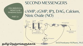 Second messengers -CBMP - Part22 - Tamil