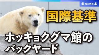 ホッキョクグマ館、海外からの受け入れも念頭　札幌市円山動物園