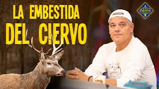 La embestida de ciervo más viral de internet - El Hormiguero