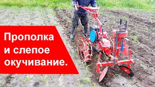 Слепое окучивание картофеля мотоблоком. Прополка.