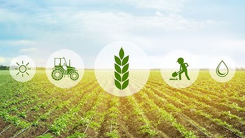 Study on Spatial Variability of Soil Properties in an Agrarian Reform Settlement in Chapadinha..