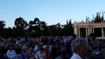 J. S. Bach Toccata in D minor played on Carillon
