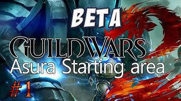 Guild Wars 2: Asura Character Creation & Starting Area