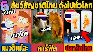 6 หมา แมว สัตว์สัญชาติไทย ที่โด่งดังไปทั่วโลก (โคตรแพง)