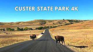 Custer State Park 4K Scenic Drive | Wildlife Loop Road Driving Tour Net Worth