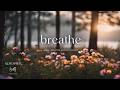 Smile Breathe And Go Slowly Soft Piano For Overthinking Minds 