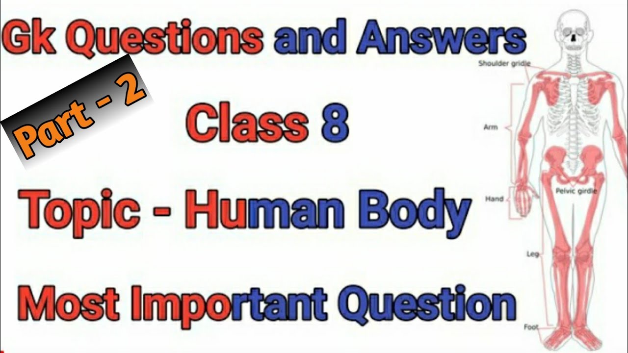 Class 8 Gk Topic Human Body Part 2 Human Body General Knowledge