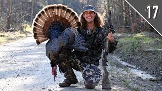 GEORGIA TOM RIGHT off the ROOST!  Public Land Turkey Hunting