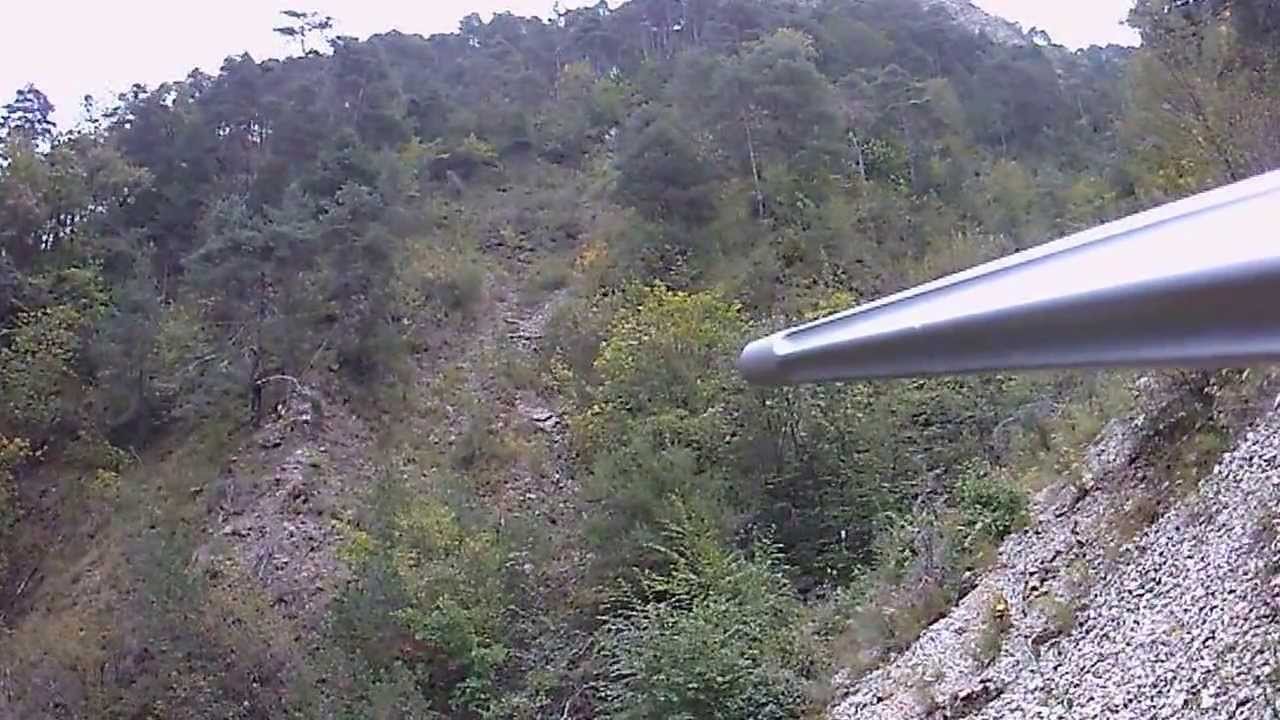 toto chasse sanglier 3