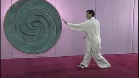 形意拳  XING YI QUAN - Wu Xing Lian Huan Quan -  basic routine - by Master WANG DEMING - Beijing China