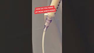 How You Wake From Anesthesia