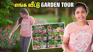 வீட்ல Garden Set பண்றீங்களா🪴👀 இந்த தப்ப மட்டும் பண்ணாதீங்க🚫 | Hema's Diary