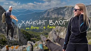 альпийский vlog I сентябрь I хайкинг и жизнь в Австрии