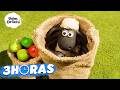 SHAUN THE SHEEP TEMPORADA 4 COMPILAÇÃO DE TODOS OS EPISÓDIOS 