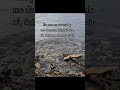 Mensajes positivos de la noche,  oración de la noche,  en paz me acuesto , pescador de hombres.