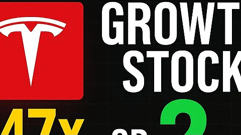 Tesla at 147x P/E — Genius Growth Stock or Massive Bubble? | Wall Street Divided!”