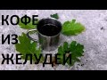 КОФЕ ИЗ ЖЕЛУДЕЙ. Рецепт напитка в походе. Дикий шеф-повар. Wild chef