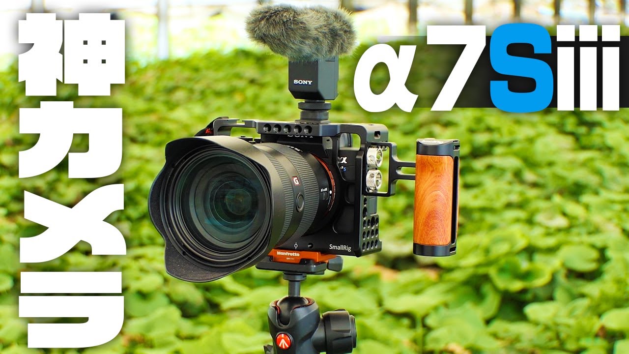 撮影機材】α7Siiiを導入した【SONY】 - わさびブログ