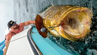 Nelk Boys & Bradley Martyn Catch Monster Groupers and Sharks