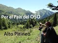 Por el país del Oso. Parque Natural Alto Pirineo