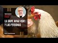 La Gripe Aviar H5N1 y las Personas. Por Dr Frisbie ¬ Video columna