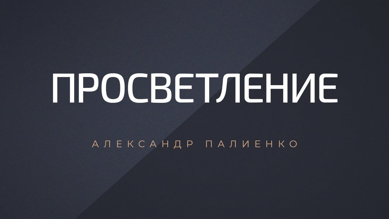 Палиенко про машины