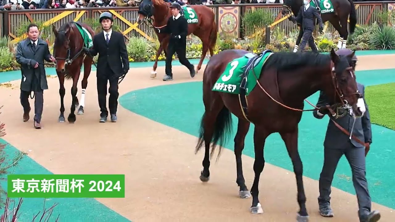 2024年 東京新聞杯 | サクラトゥジュール | ウインカーネリアン | パドック 現地映像 全頭 | 東京競馬場