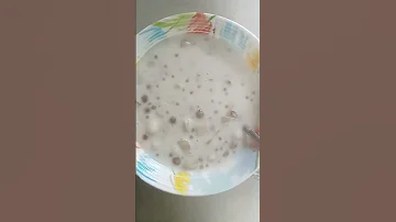 BiloBilo Sampelot AsmrFood Trending Video Shortvideo 