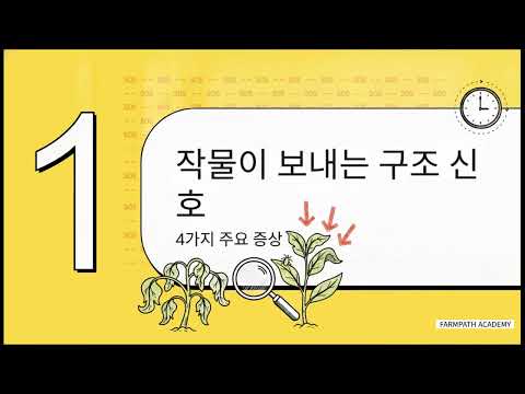 작물도 아프다 — 식물이 보내는 신호 영상 미리보기