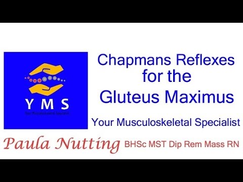 Chapman Reflexes Chart