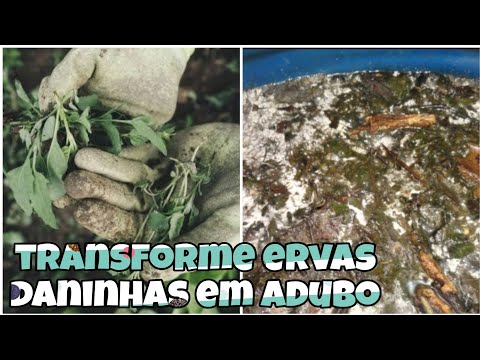 Vídeo: Você pode fazer compostagem de ervas daninhas: fazendo compostagem de ervas daninhas