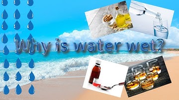 "Why is Water Wet? | The Science Explained"
