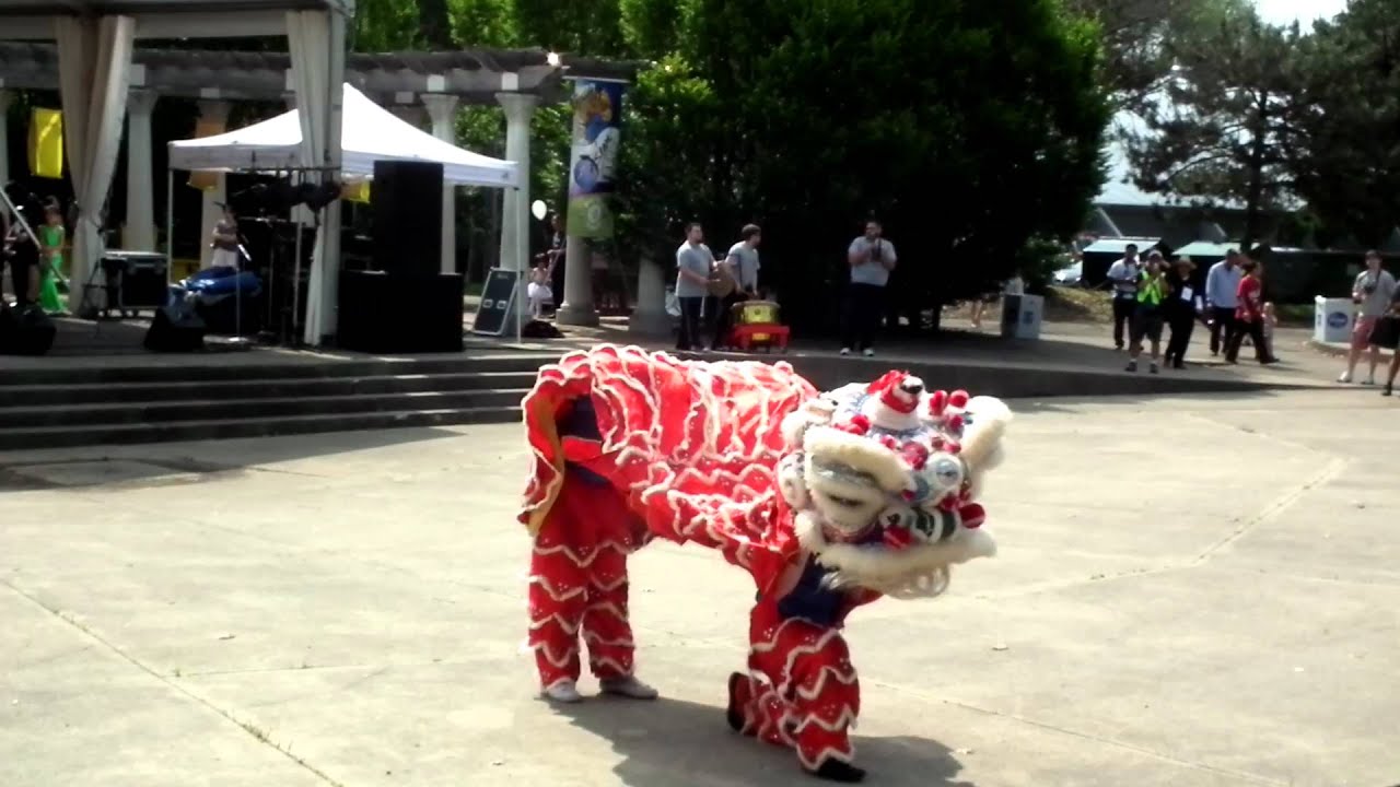 USA Shaolin Hui Guang Martial Arts Institute - Lion Dance #2