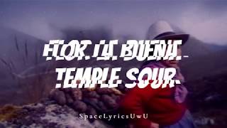 Video thumbnail of "Flor la buena - Temple Sour//Letra"