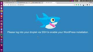 Famous Website Hosting with Digital Ocean with One-click WordPress installation. Net Worth